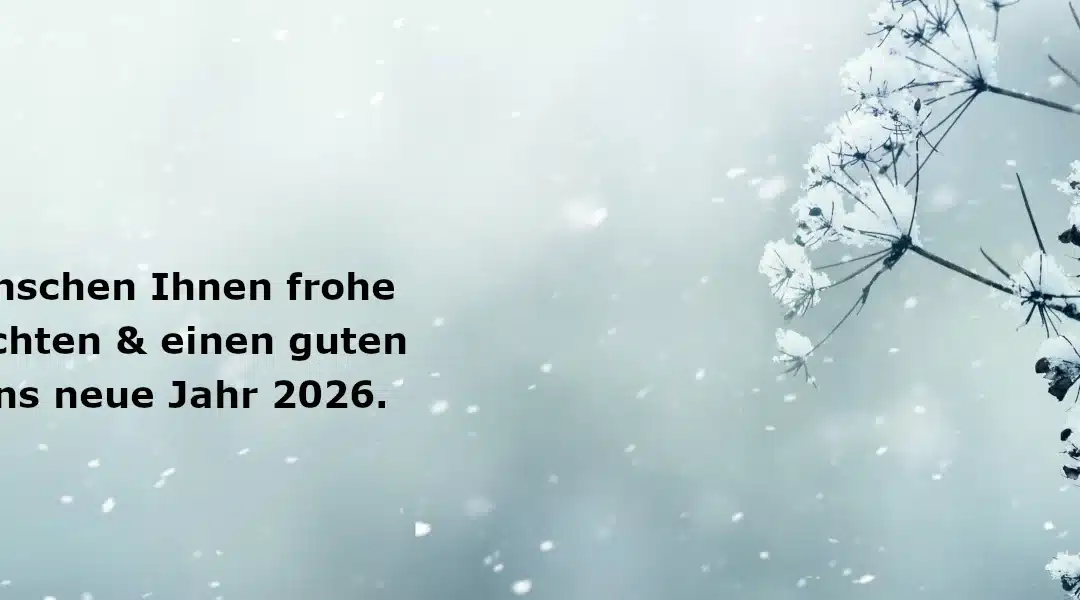Jahresrückblick 2025