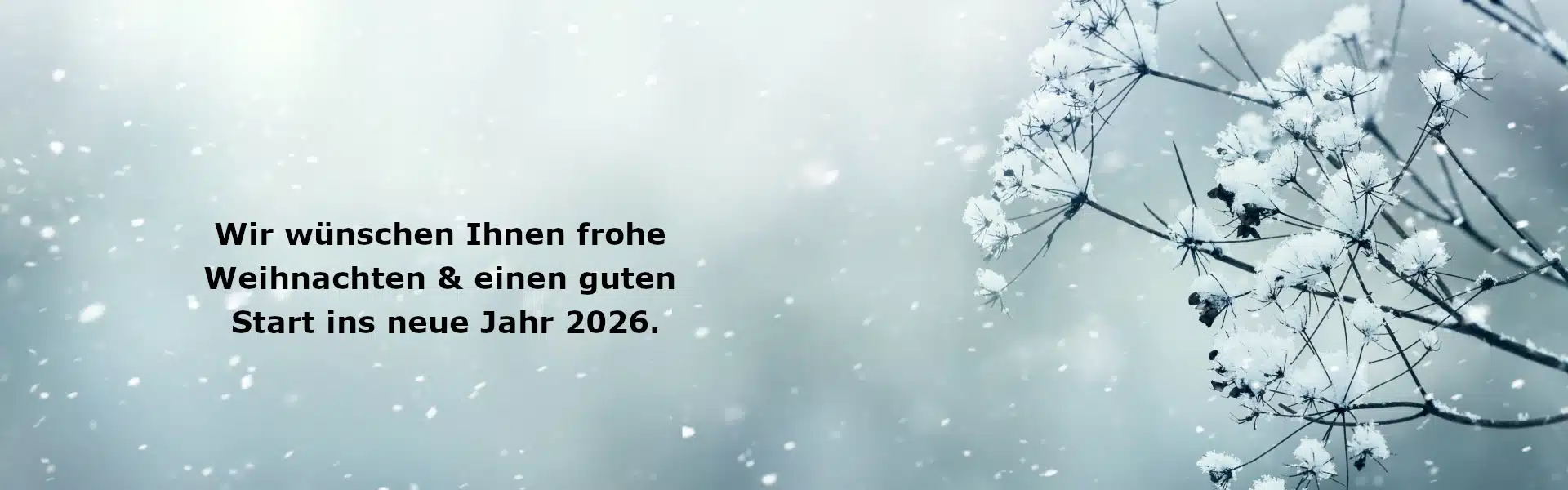 Featured Image_Jahresabschluss 2025 Jahresabschluss